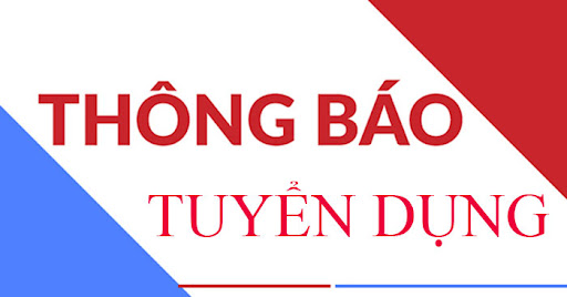  TUYỂN DỤNG TƯ VẤN ĐẤU THẦU